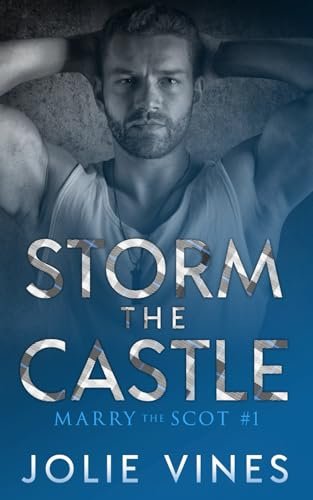 Storm the Castle by Jolie Vines book cover