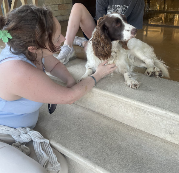 Amy and Mini McGavin patting a white-and-brown spaniel